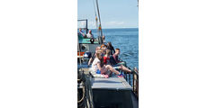  Segelrüstzeit auf dem Ijsselmeer (Foto: Marcella Jakobi)